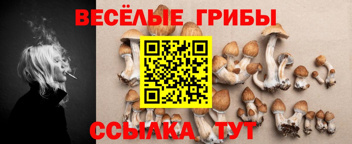 Псилоцибиновые грибы ЛСД Орехово-Зуево
